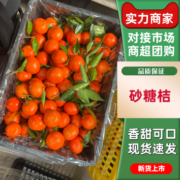 广西正宗砂糖橘百家果大量有货口感好甜度高一条龙服务