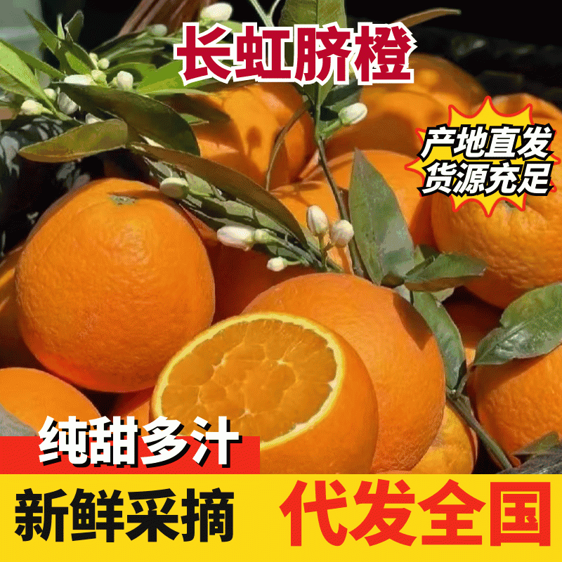 【精品】长虹脐橙基地供应量大质优支持视频看货欢迎咨询