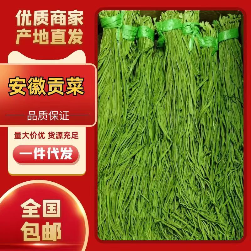 火锅餐饮商超优选贡菜贡菜干义门苔干一手货源全国一件代发
