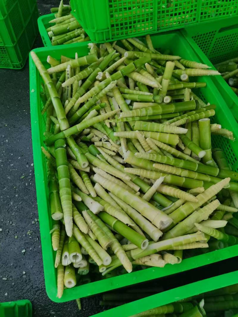 【好货】笋干盐笋干陕西笋干常年供应量大从优欢迎下单