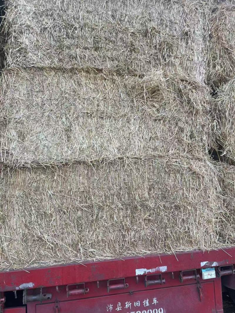 【精品柔丝除尘麦草】秸秆规格齐全货源充足电联优惠