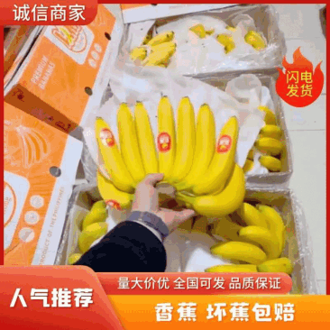 特价精品菲律宾进口香蕉，香甜软糯，保质保量，可发全国。
