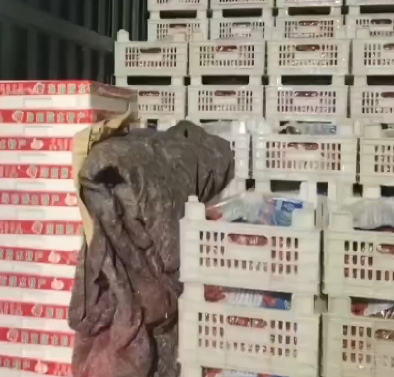 山东新鲜圣女果现摘番茄小西红柿水果生吃蔬菜贝贝小番茄