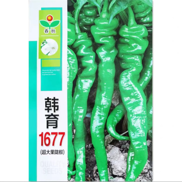 韩育1677螺丝椒种子韩国引进超大果型陇椒种子早熟辣椒种