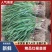 徐州蒜苗红根蒜苗大量供应代发湖南湖北山东江苏浙江等市场