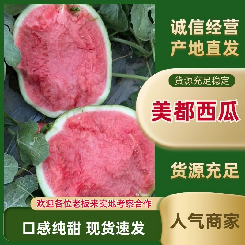 河南麒麟美都西瓜，保质保量产地直供，一手货源，可视频看货