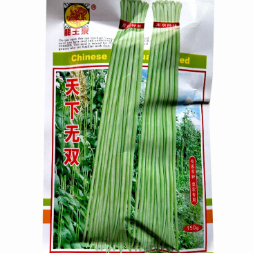天下无双豇豆种子小叶长豆角早熟高产大棚露地种植