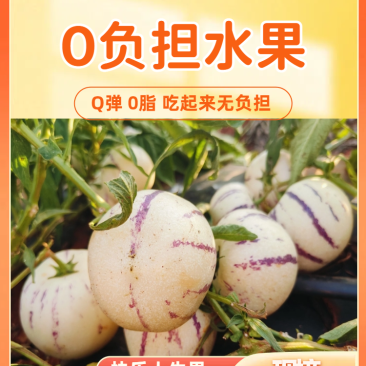 云南石林人参果/一件代发/批发/零售人参果云南人参果黄果
