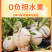 云南石林人参果/一件代发/批发/零售人参果云南人参果黄果