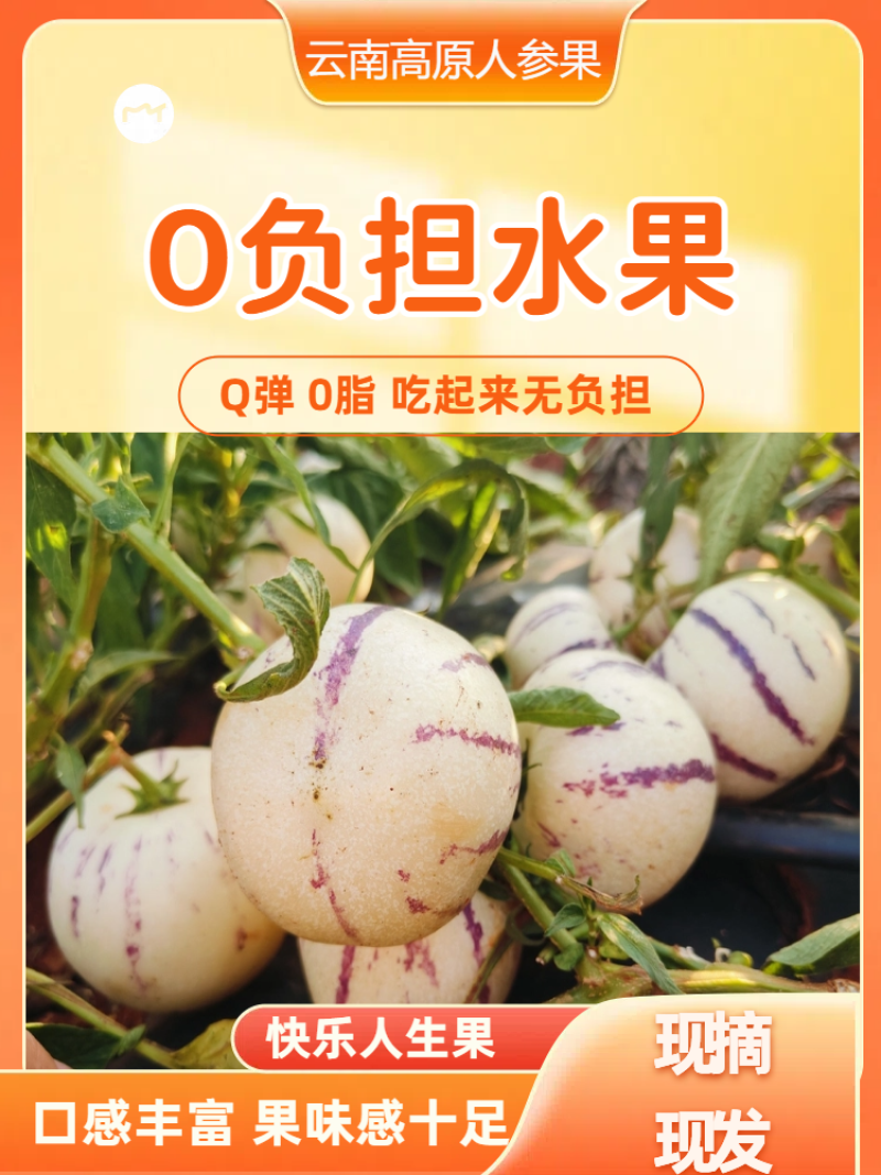 云南石林人参果/一件代发/批发/零售人参果云南人参果黄果