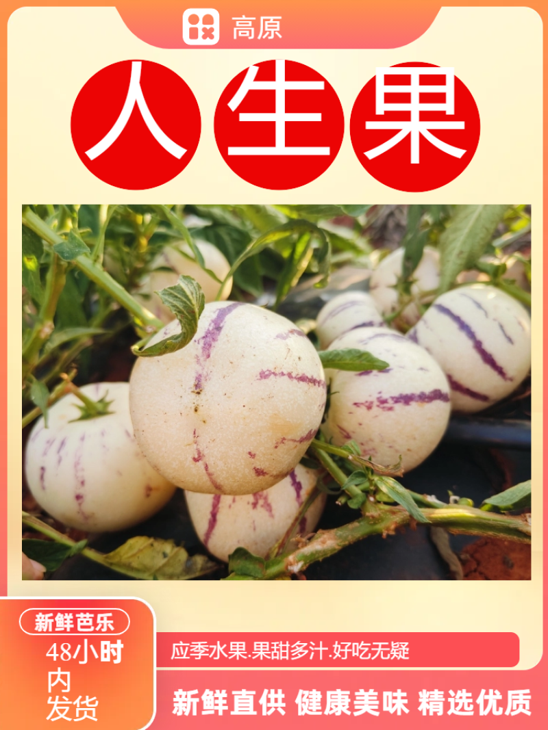云南石林人参果/一件代发/批发/零售人参果云南人参果黄果