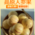 云南石林人参果/一件代发/批发/零售人参果云南人参果黄果