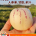 云南石林人参果/一件代发/批发/零售人参果云南人参果黄果