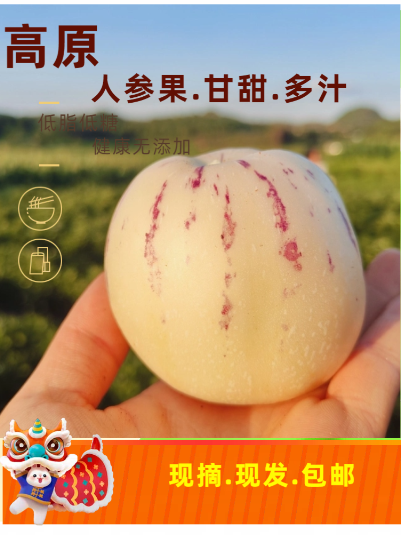 云南石林人参果/一件代发/批发/零售人参果云南人参果黄果