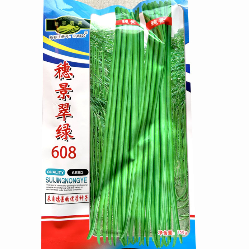 长豇豆种子穗景翠绿608翠绿色嫩荚肉厚不鼓籽春夏秋种