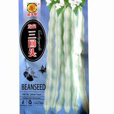九粒白芸豆种子龙泉三回头豆角早熟纤维少无筋摘不败基地品种
