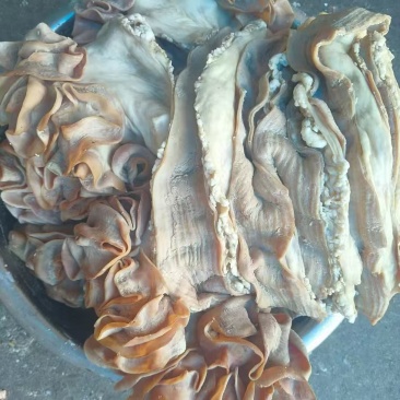 精品牛盘肠，牛肠条，七分熟，长期有货，品质保证，价格优惠