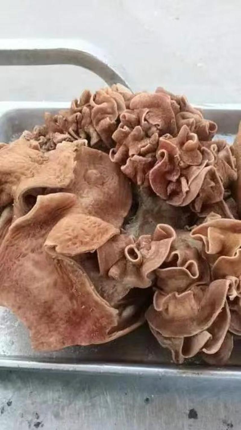 精品牛盘肠，牛肠条，七分熟，长期有货，品质保证，价格优惠