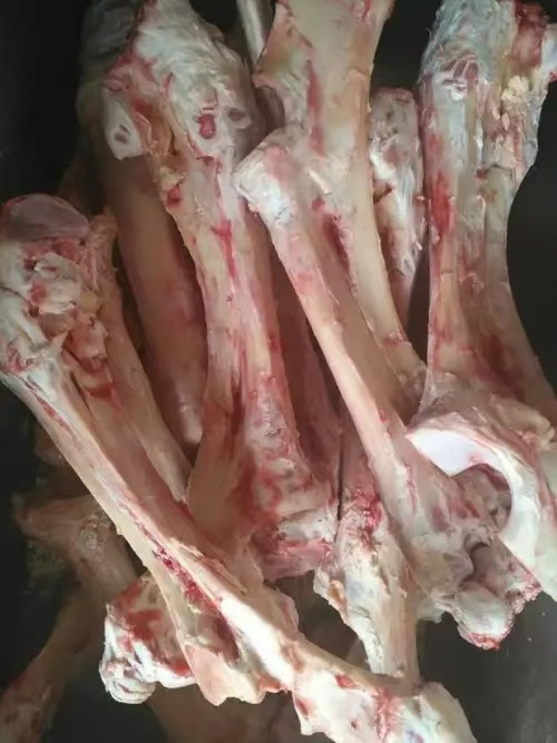 现宰清真牛腿骨，饭店熬汤必备，长期有货，价格优惠诚信第一