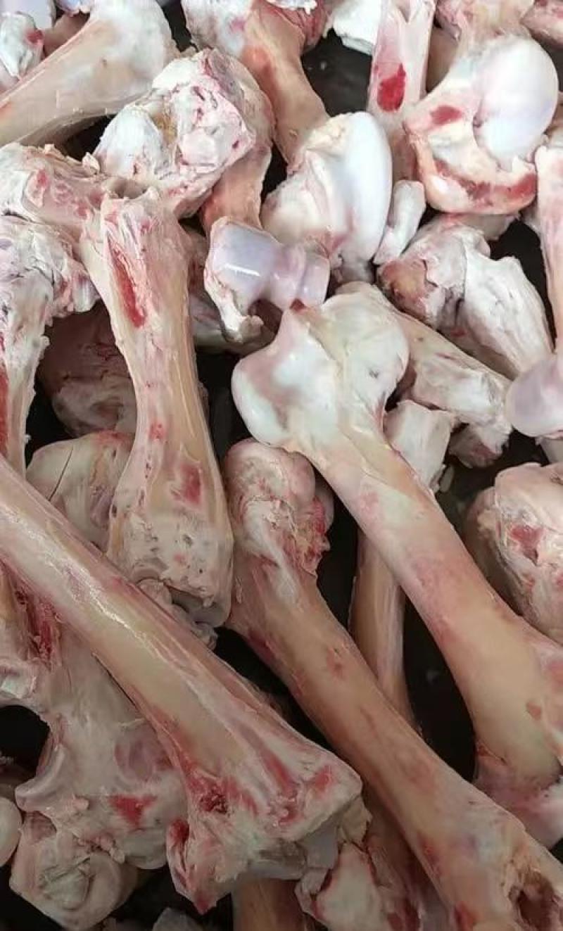 现宰清真牛腿骨，饭店熬汤必备，长期有货，价格优惠诚信第一