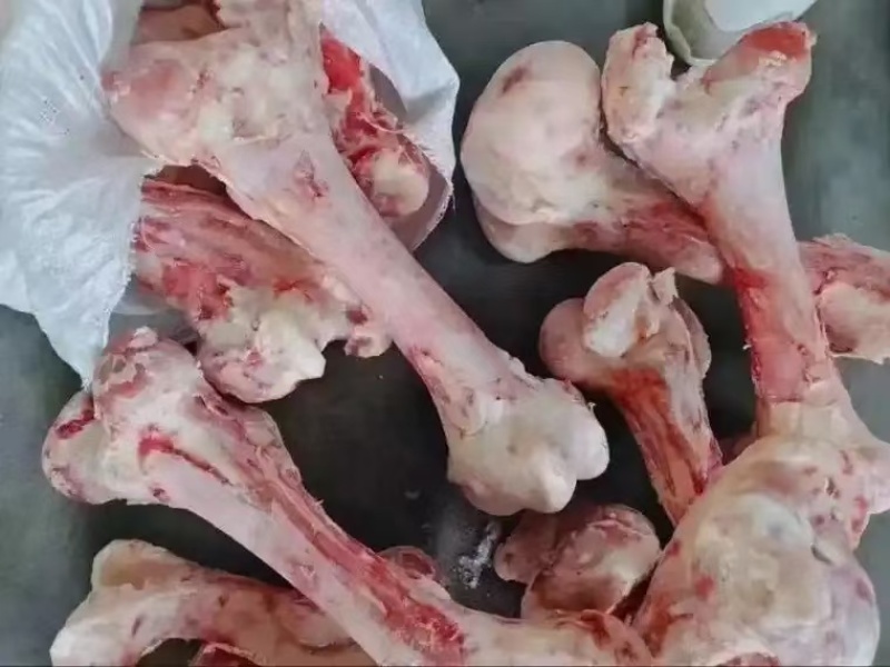 现宰清真牛腿骨，饭店熬汤必备，长期有货，价格优惠诚信第一