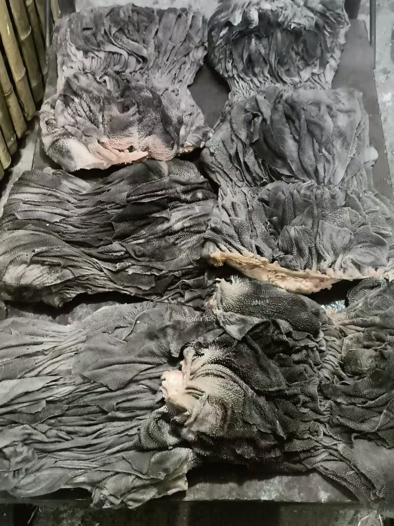 现宰鲜百叶，精修去油，大叶片，不掉毛，长期有货，诚信第一