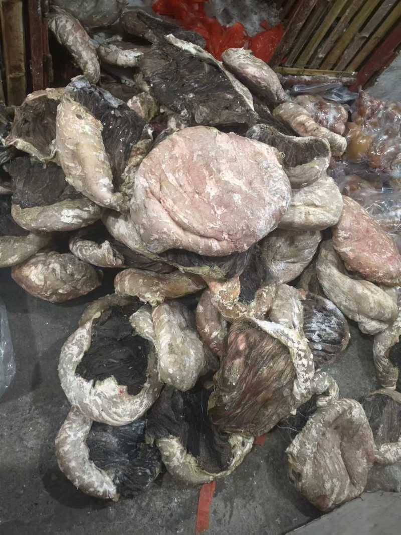 现宰鲜百叶，精修去油，大叶片，不掉毛，长期有货，诚信第一