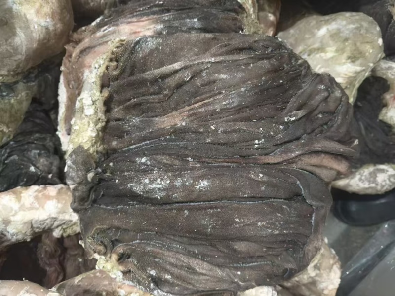 现宰鲜百叶，精修去油，大叶片，不掉毛，长期有货，诚信第一