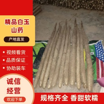 精品白玉山药，品质保证，价格优惠，产地直发，自产自销