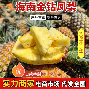 海南凤梨海南金钻凤梨大量供应基地直发保证品质