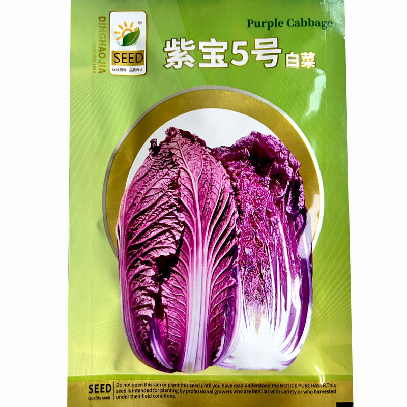 紫白菜种子紫宝5号白菜紫白菜种子中早熟耐抽杂交