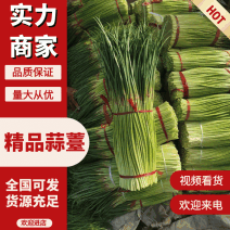 河南精品蒜薹，产地直发，质量上等，量大优惠，欢迎来电询价