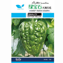 苹果苦瓜种子早熟果大肉厚杂交青苦瓜种子菜园大田高产四季