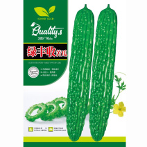 绿丰收苦瓜种子早春肉质嫩翠口味适中心腔小果肉厚