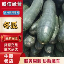 【实力】黑皮地冬瓜精选好货价格优惠对接全国采购商