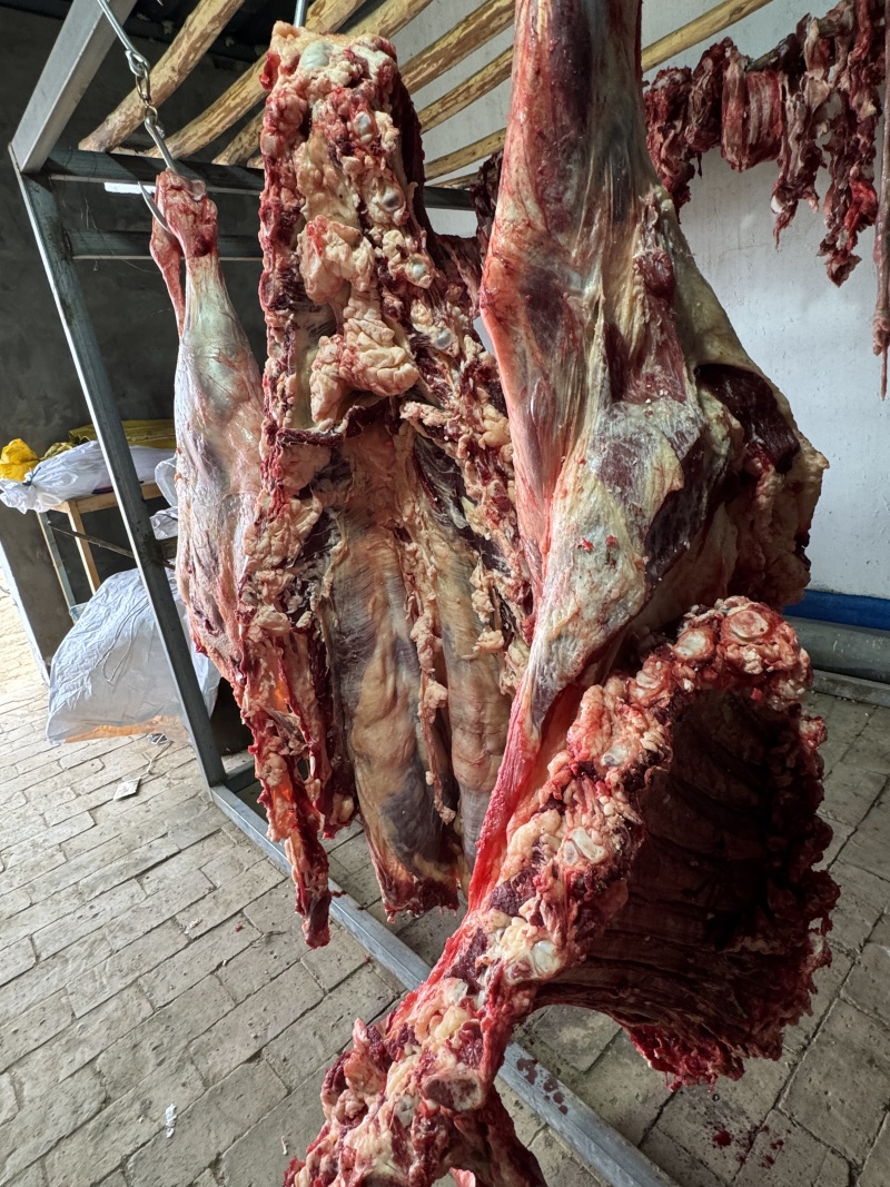 鄂尔多斯本地牛肉土牛肉整只宰杀发货全国发货