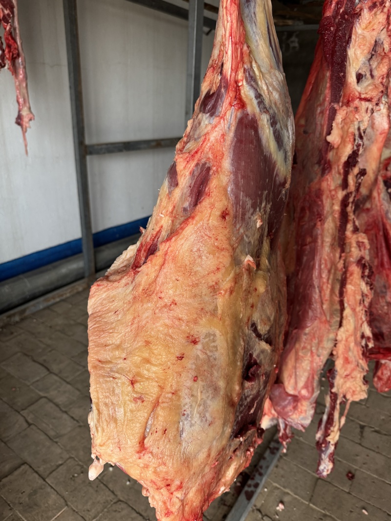 鄂尔多斯本地牛肉土牛肉整只宰杀发货全国发货
