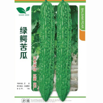 绿鳄苦瓜种子绿苦瓜籽瓜条顺直早熟心腔小果肉厚大田种植