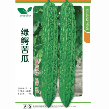 绿鳄苦瓜种子绿苦瓜籽瓜条顺直早熟心腔小果肉厚大田种植