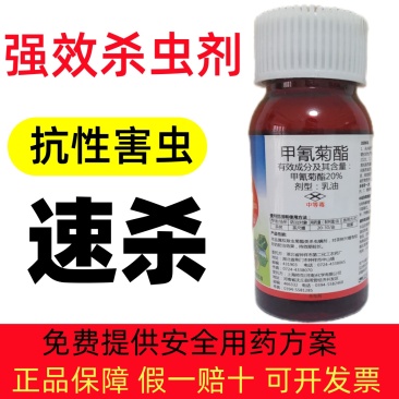 甲氰菊酯抗性害虫专用药菜青虫蚜虫蓟马蛾虫药效持久杀虫广泛