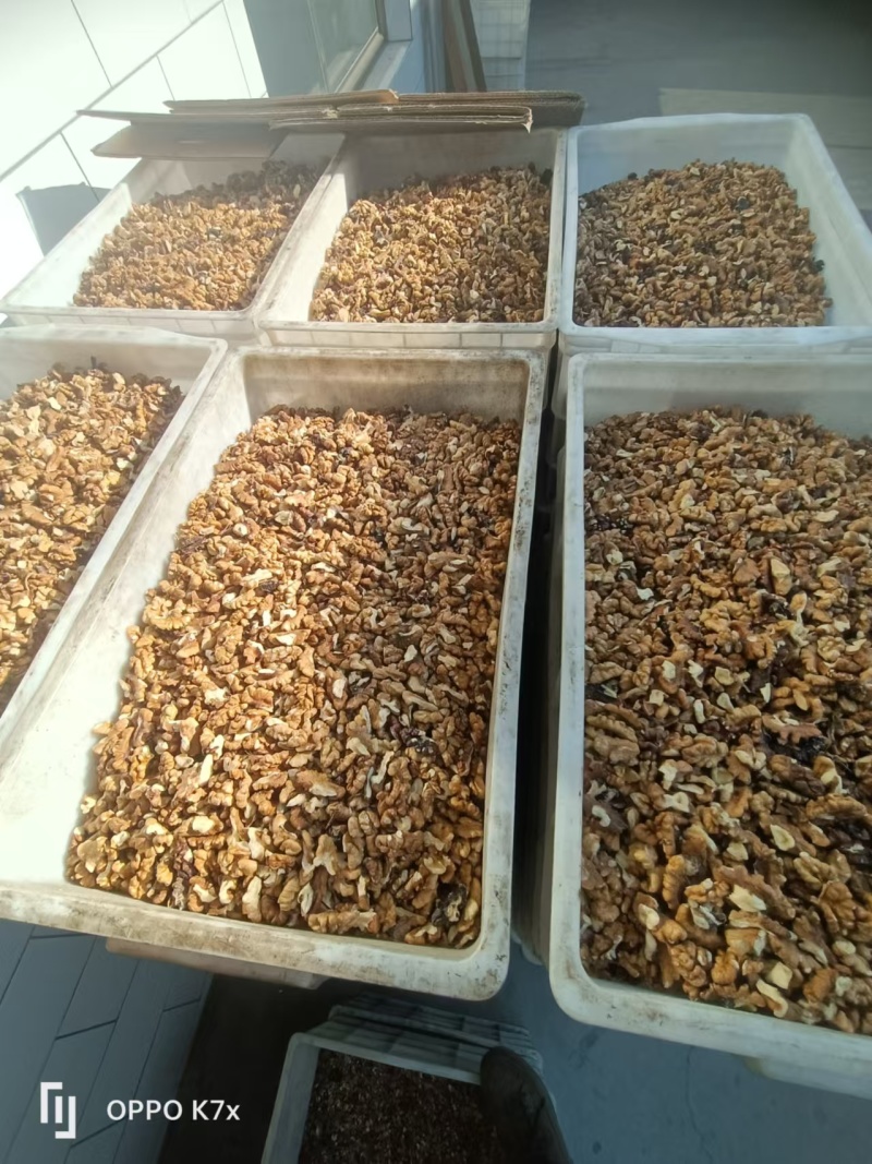 尖白核桃仁山西核桃仁普白白二白三路基地直发