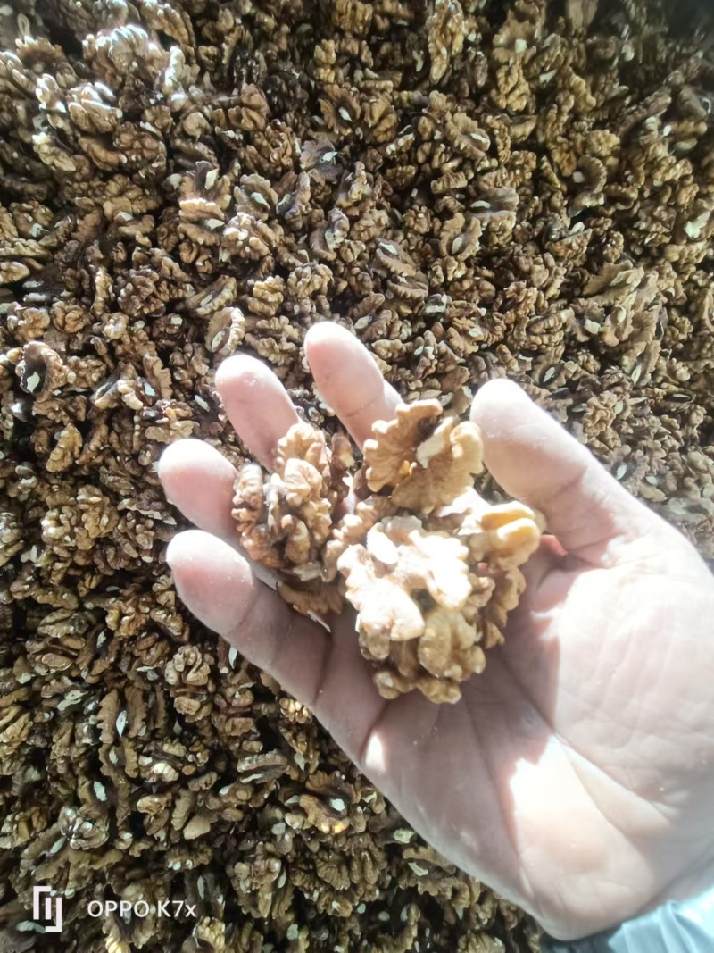 尖白核桃仁山西核桃仁普白白二白三路基地直发