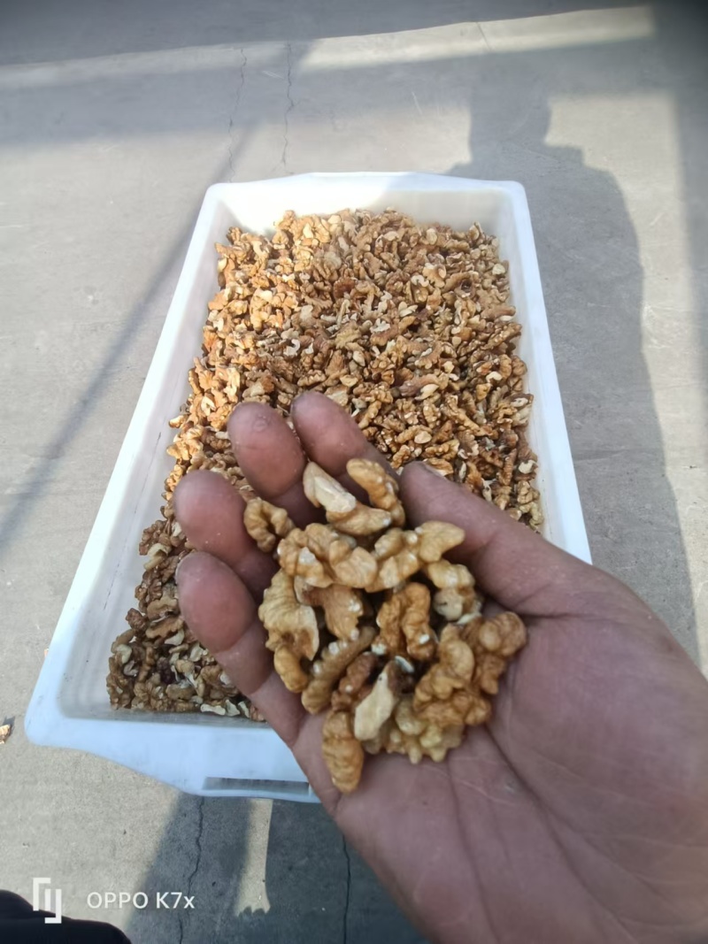 尖白核桃仁山西核桃仁普白白二白三路基地直发