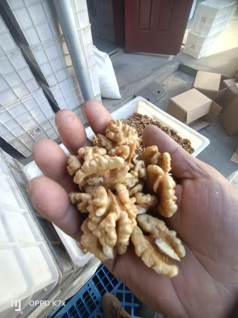 尖白核桃仁山西核桃仁普白白二白三路基地直发