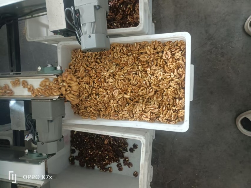 核桃仁基地直发货优价美可视频看货欢迎进店联系