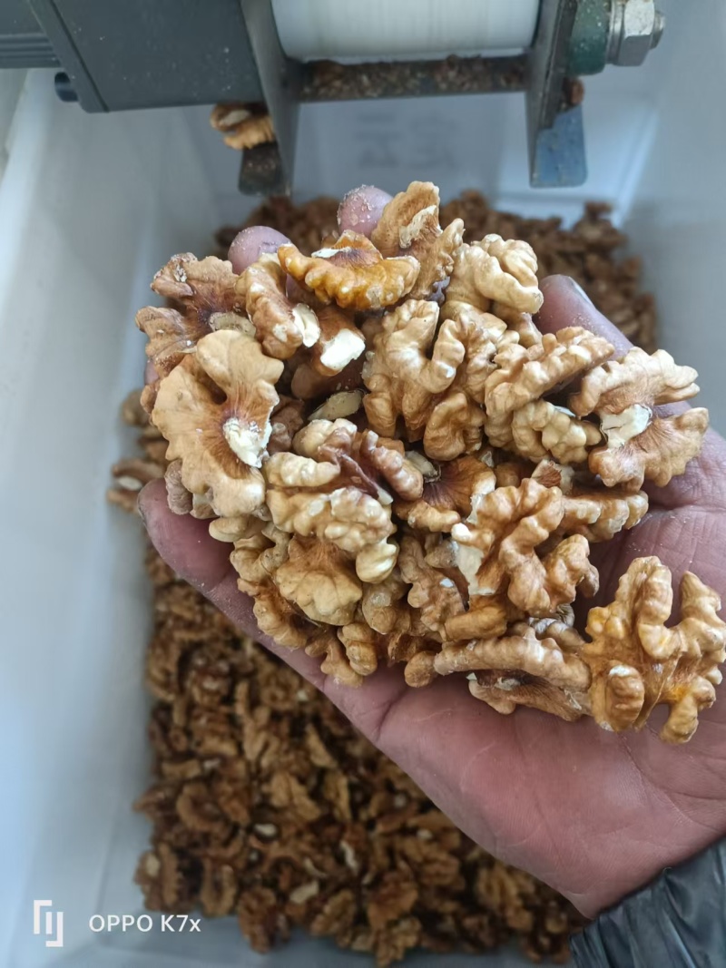 核桃仁基地直发货优价美可视频看货欢迎进店联系