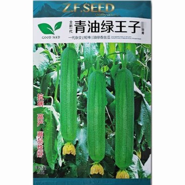 青油绿王子杂交短棒油绿丝瓜种子早熟丝瓜种籽果肉细密味甜耐