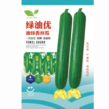 绿油优油绿香丝瓜种子杂交短棒绿油亮耐热肉厚