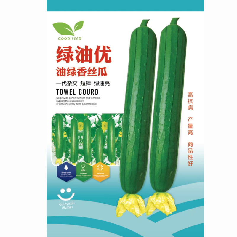 绿油优油绿香丝瓜种子杂交短棒绿油亮耐热肉厚
