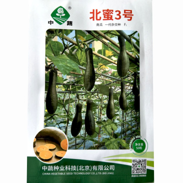 北蜜3号三号吊瓜南瓜种子嫩瓜深绿色微甜50天上市